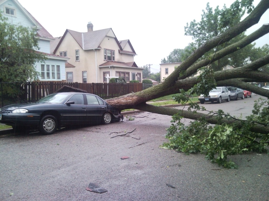 One of the many trees lying across the streets of Minneapolis after the tornado this afternoon.
