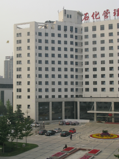 View of the whole building. They are all the way up there with only two cords and what appears to be a tree swing holding them up.