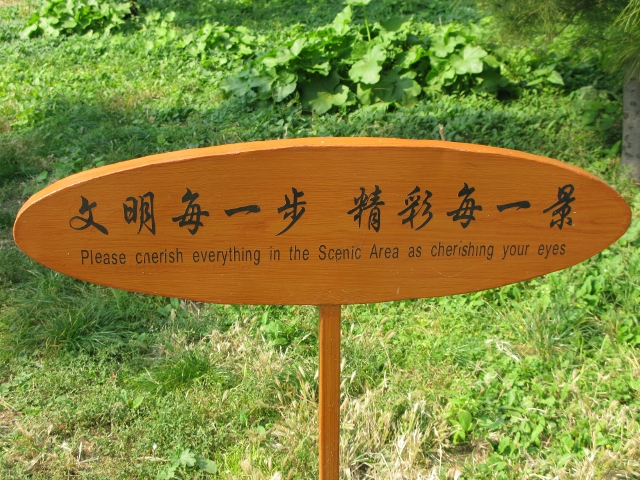 I really have no idea on this one!