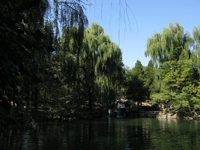 The lake on the campus