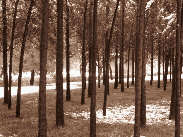 Mmmmm.....it was really beautiful there!