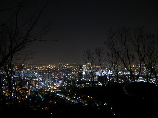 A view from Namsan Hill.  We weren't in the tower yet.