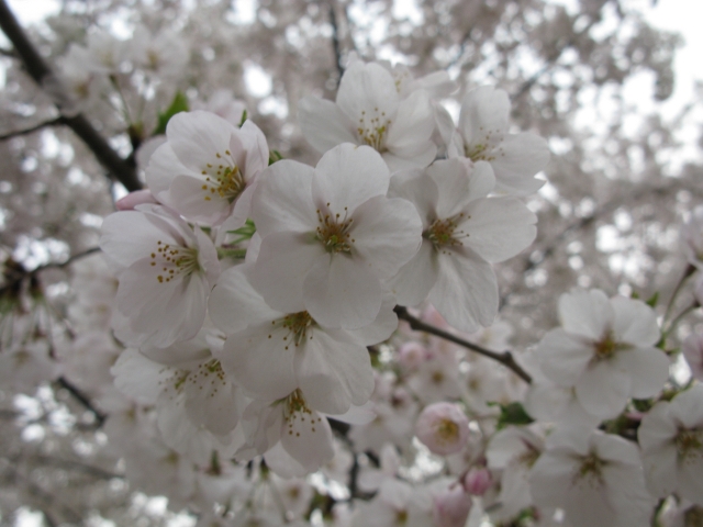 :) It was beautiful!