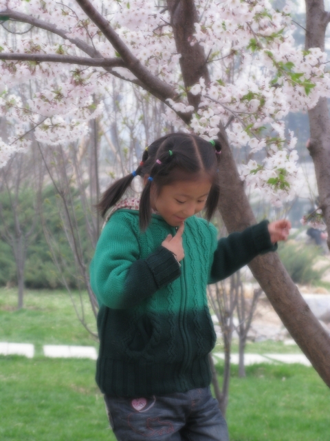This little girl was posing for many people but I think she got nervous when she realized just how many people there were! I caught her as she was jumping off a tree stump!