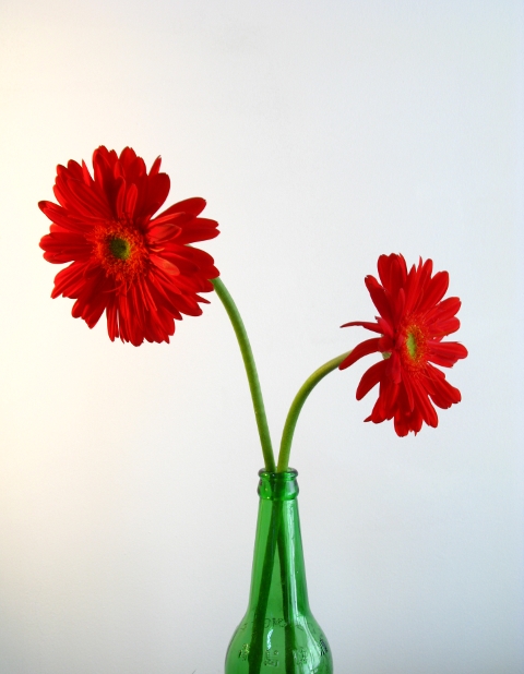 :) They are so friendly looking.  